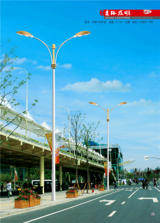 博尔塔拉8米市电路灯杆
